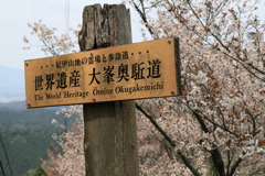 大峯奥駈道なう