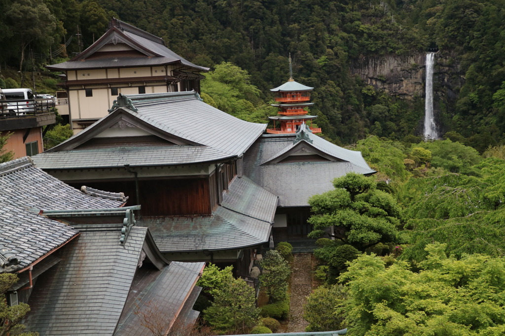 遠滝なう