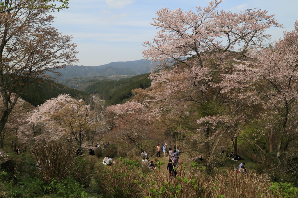 夢のうちにもなう