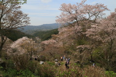 夢のうちにもなう