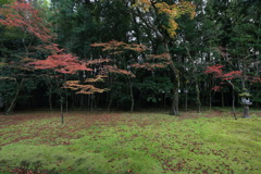 グラマラスなう