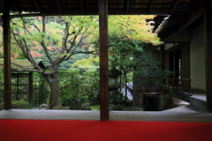 ジャルダンなう