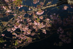 ギャラクシーなう