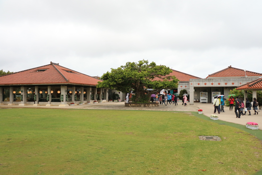 首里城公園駐車場入口なう