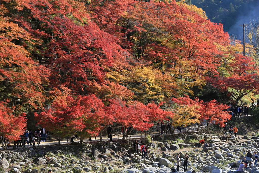 紅潮なう