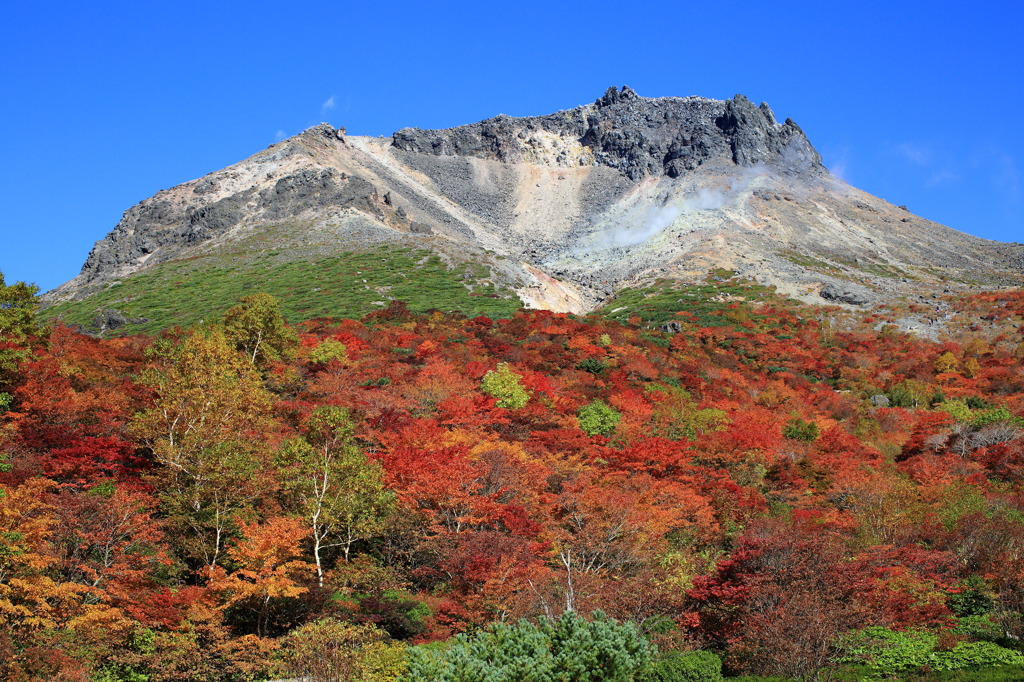 すばらしい紅葉の景色ナウ