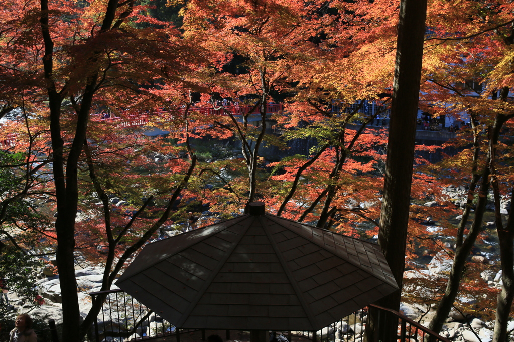 東屋なう