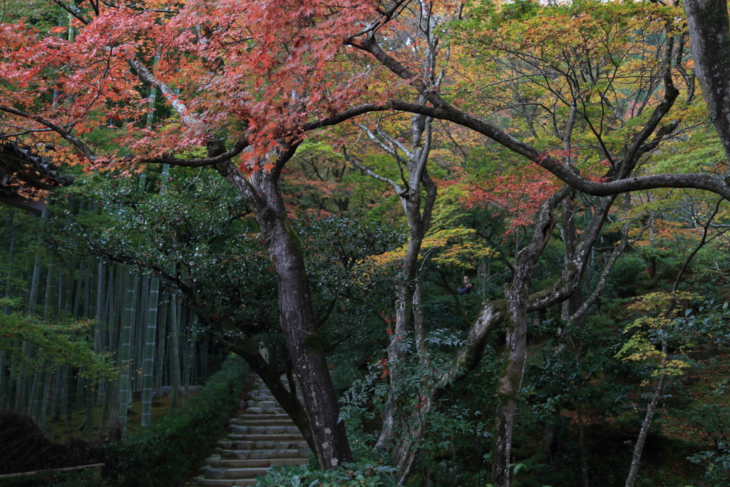 常寂なう