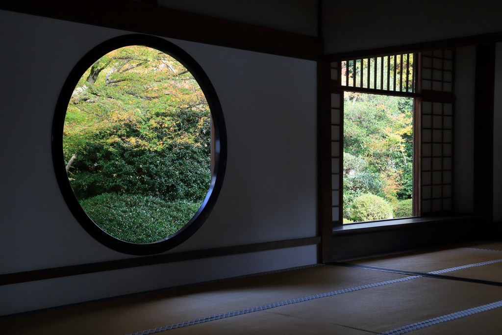 ウィンドウズなう