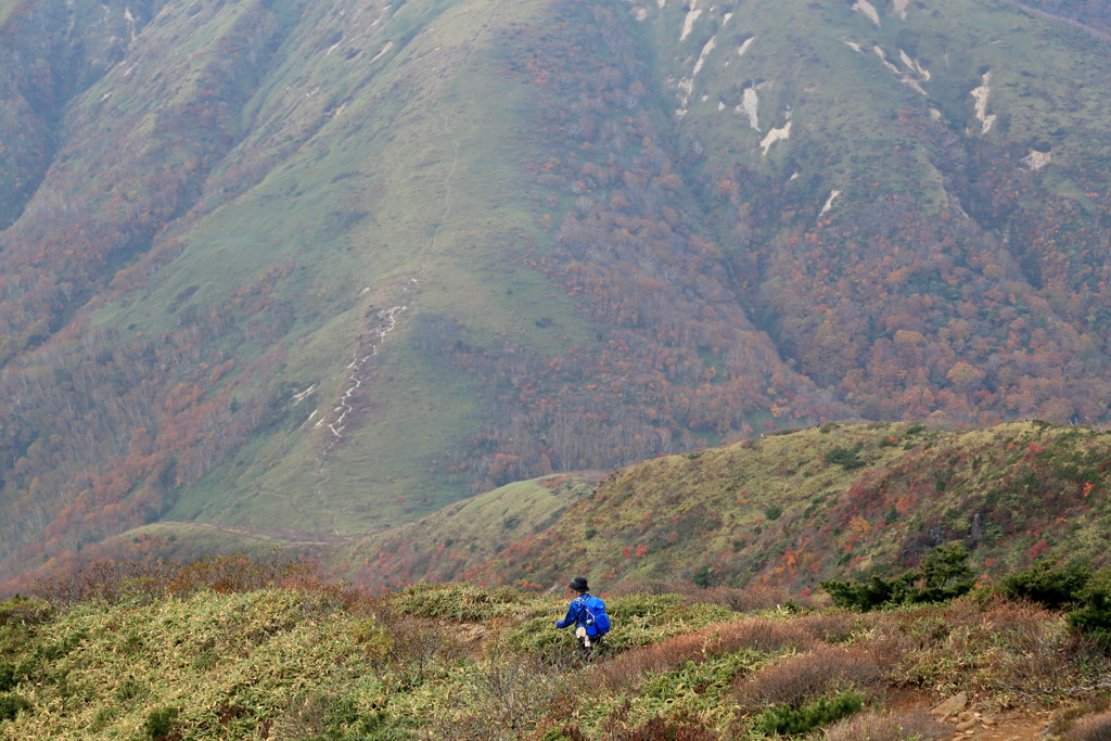トレッキンなう