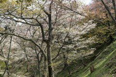 心にかかるなう