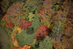 フロムザアバブなう