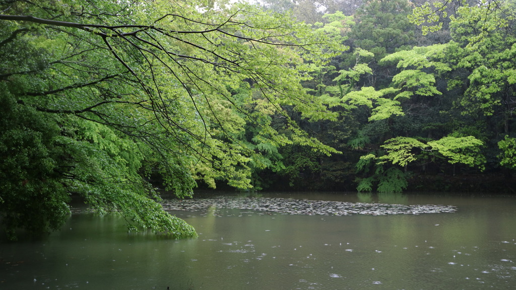 静謐なう