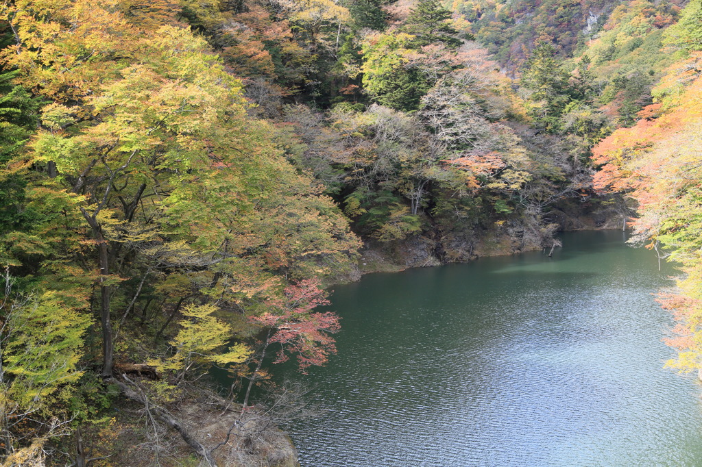 対岸ナウ