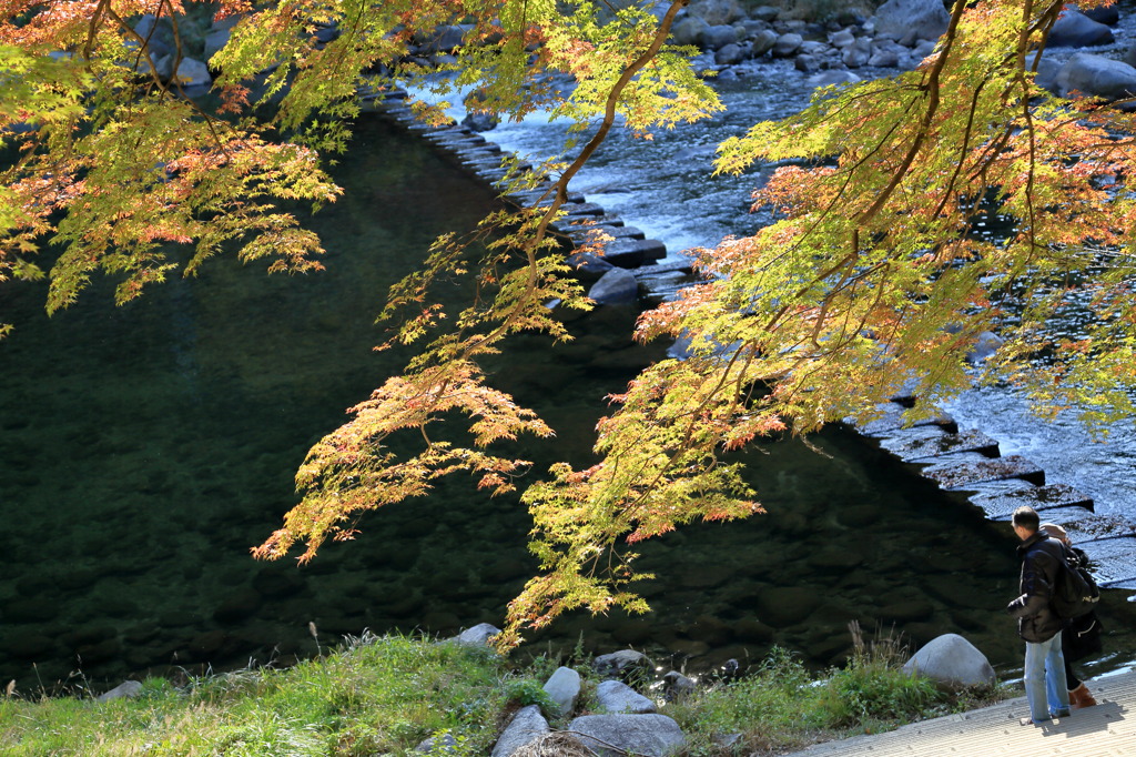 巴川なう