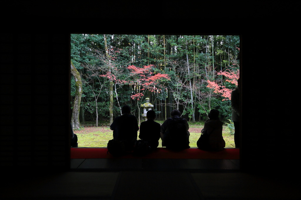 ザ・ワールドなう