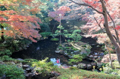 エトランジェダンパラディなう