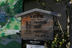 拝観時間なう