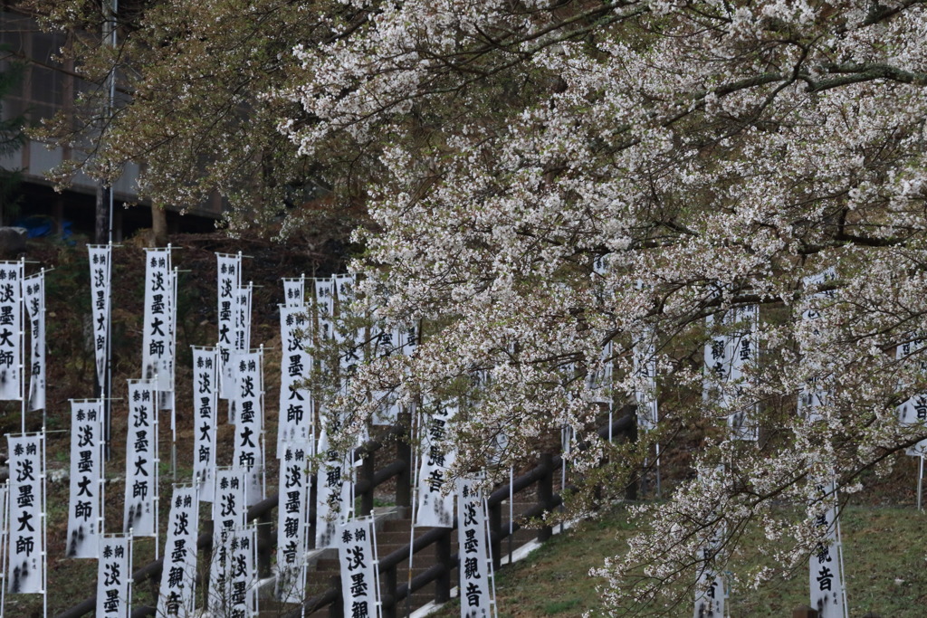 たれもさこそはなう