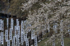 たれもさこそはなう