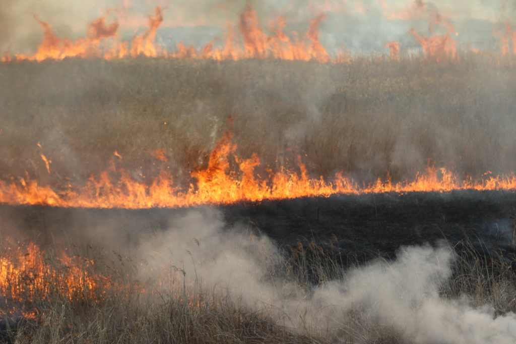 ゴゴゴゴゴ～なう