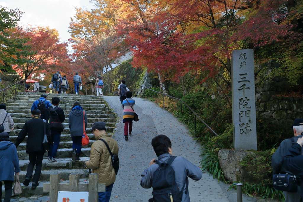 登り坂なう