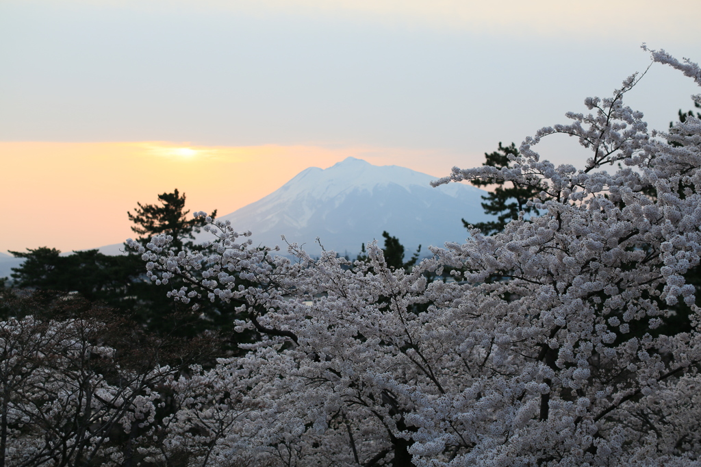 夕焼けナウ