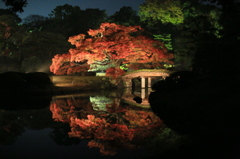 田鶴橋アゲインなう