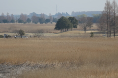 ゴルファーなう