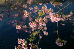 ミルキーウェイなう