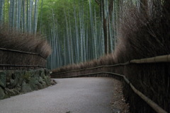 ワインディンなう