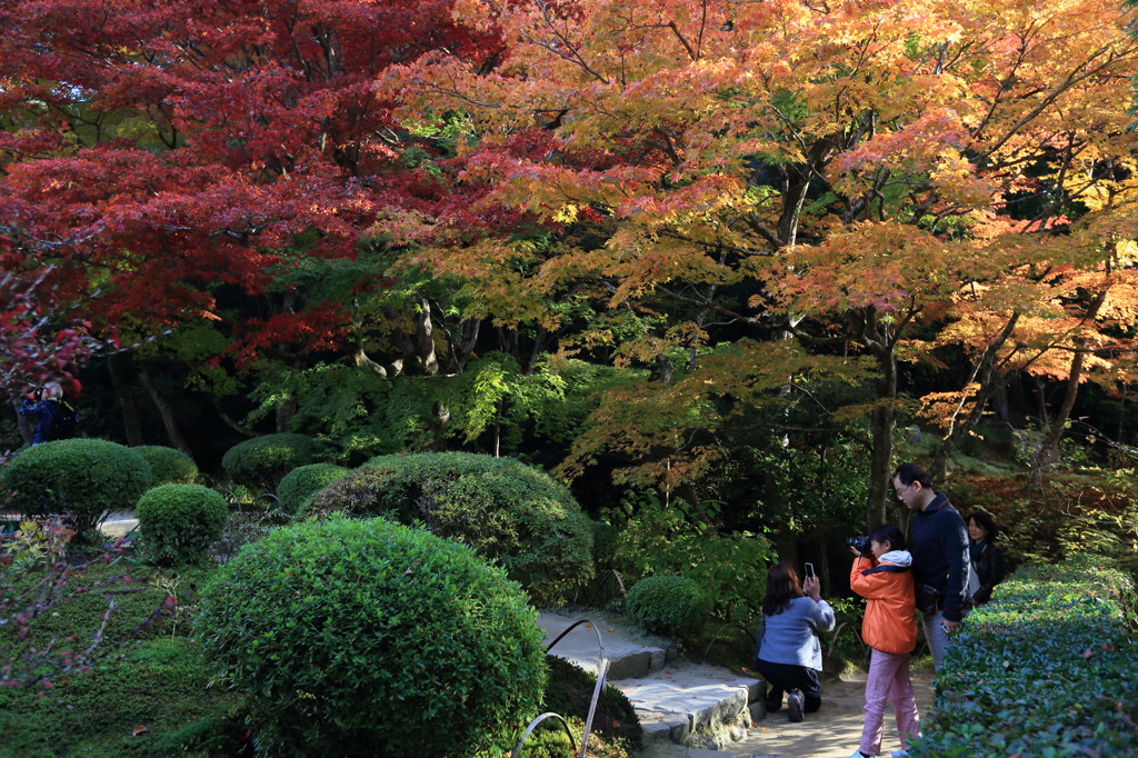 美しい変化なう