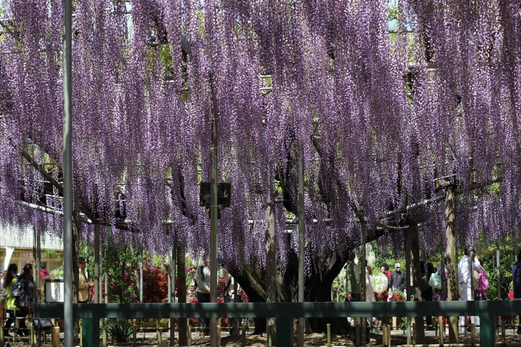 足ることをなう