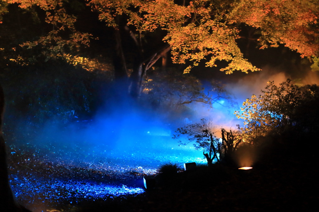 オリーブの首飾りなう