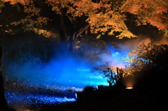 オリーブの首飾りなう