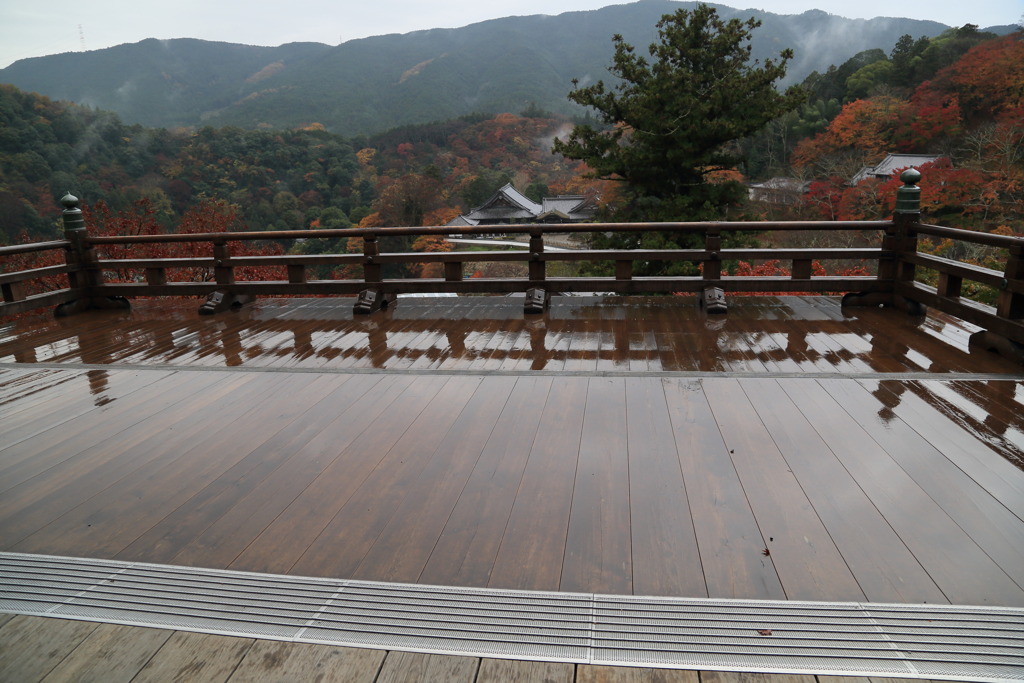 広々なう
