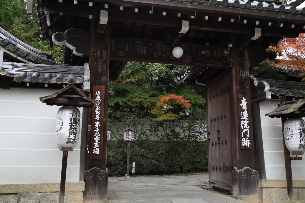 青蓮院門跡なう