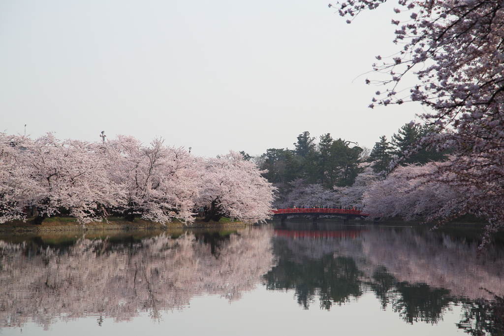 春陽橋ナウ