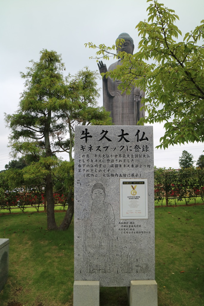 ギネス登録なう