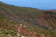 タブリーズなう