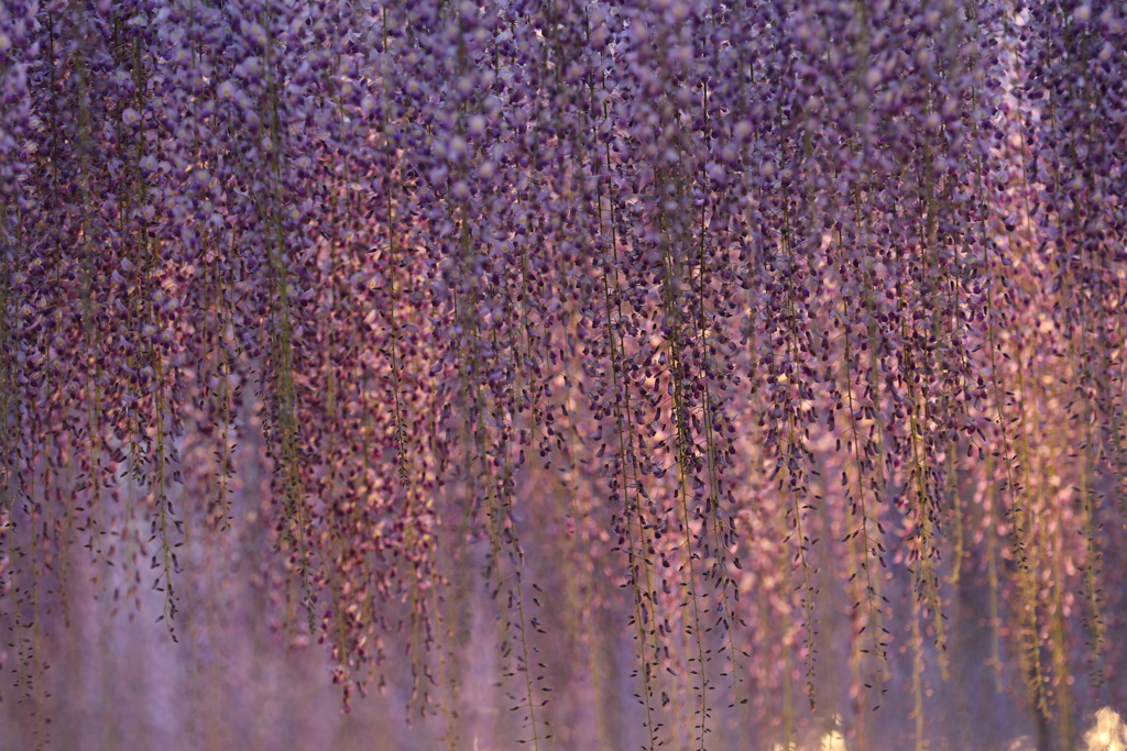 ライトアップなう