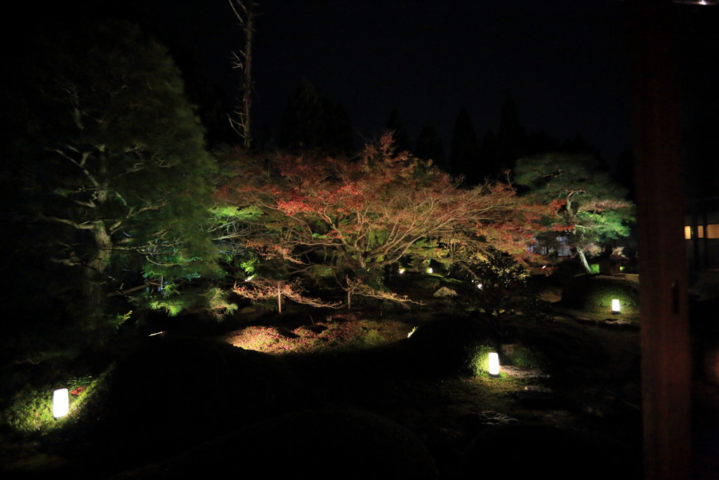 ライトアップなう