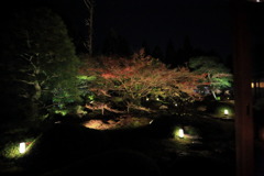 ライトアップなう