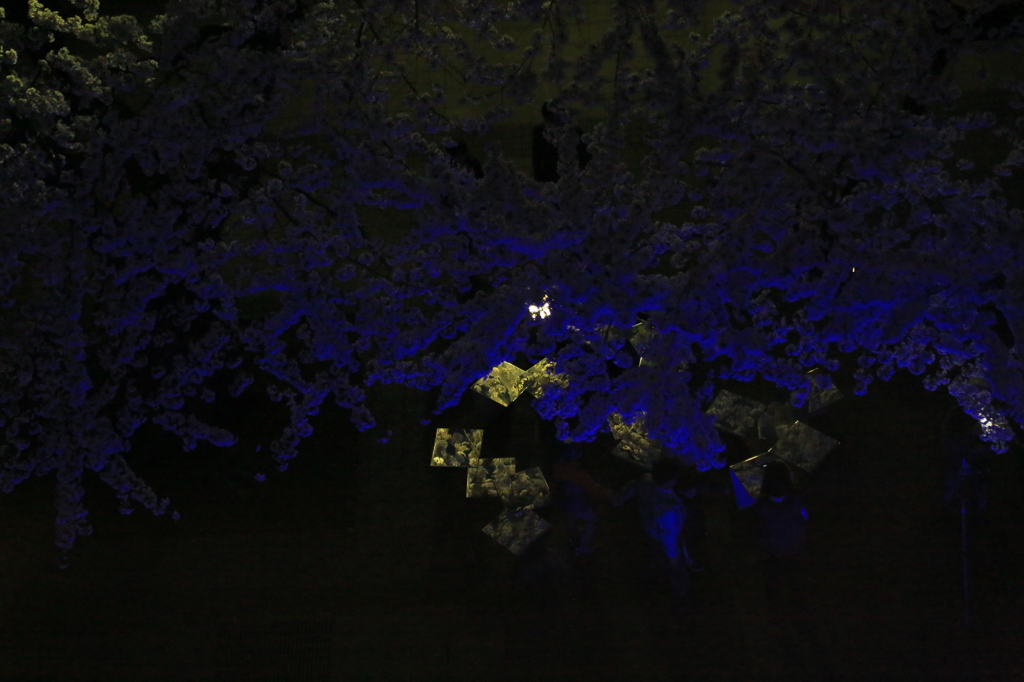 ブルーナイトナウ