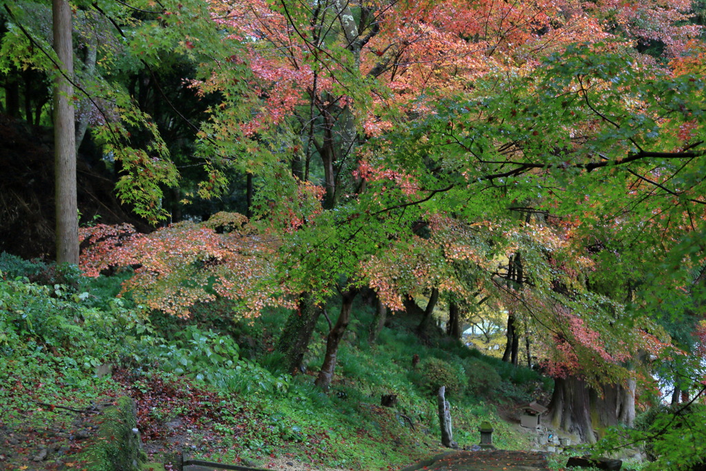 藤原俊成定家塚なう