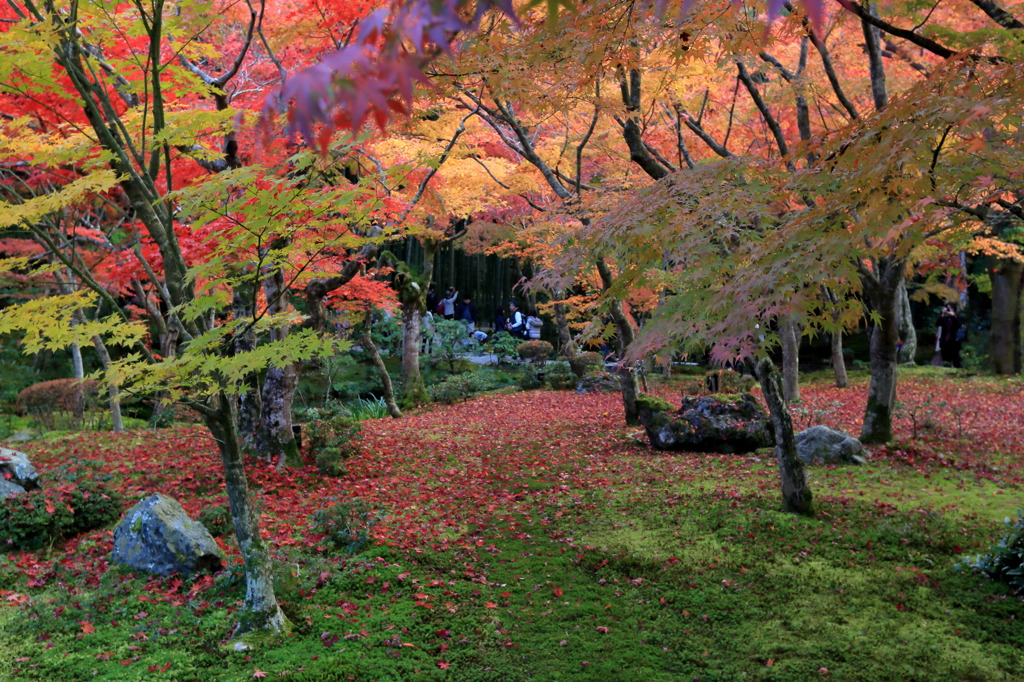 モアザンイナフなう