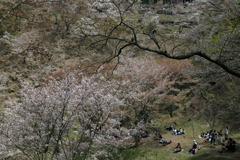 とがにはありけるなう