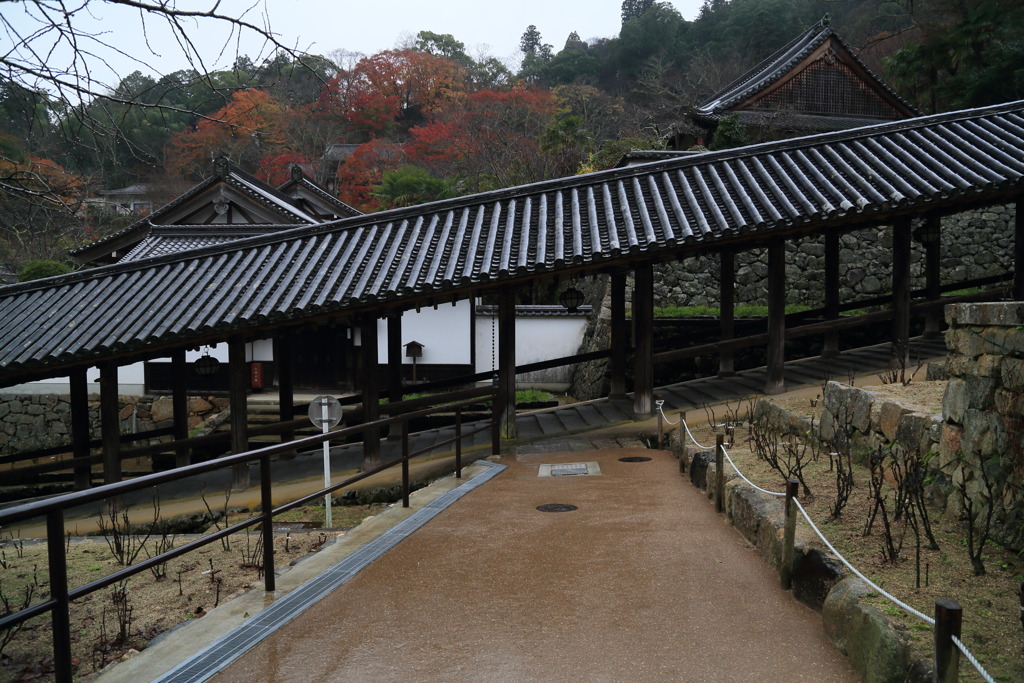 離脱なう