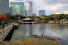 ウォーターフロントなう