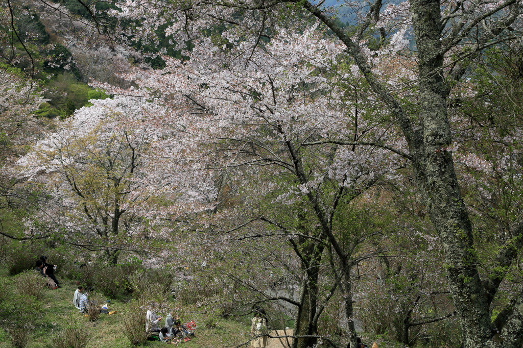 世を遁れつつなう